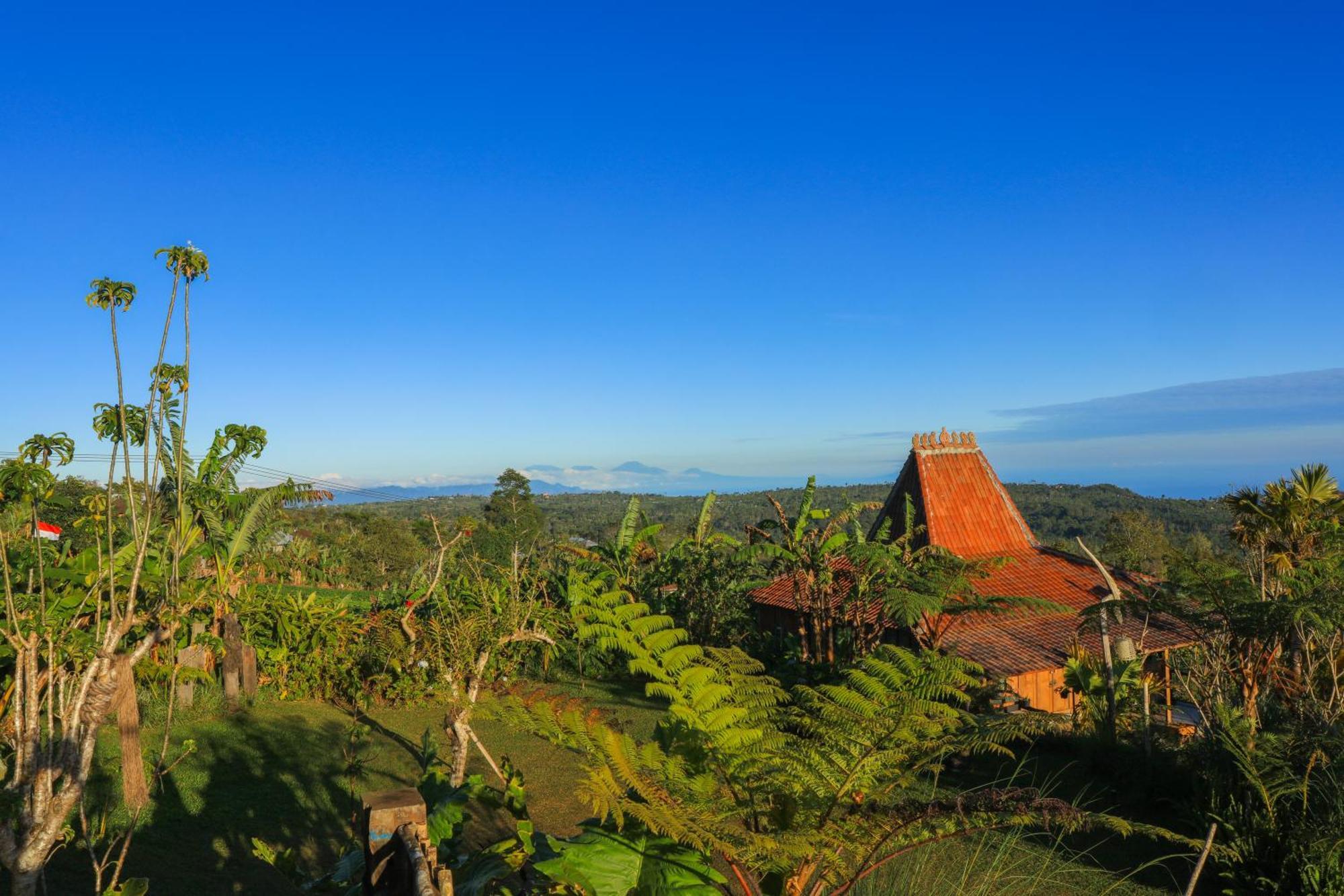 Pondok Kawinaya Сингараджа Экстерьер фото